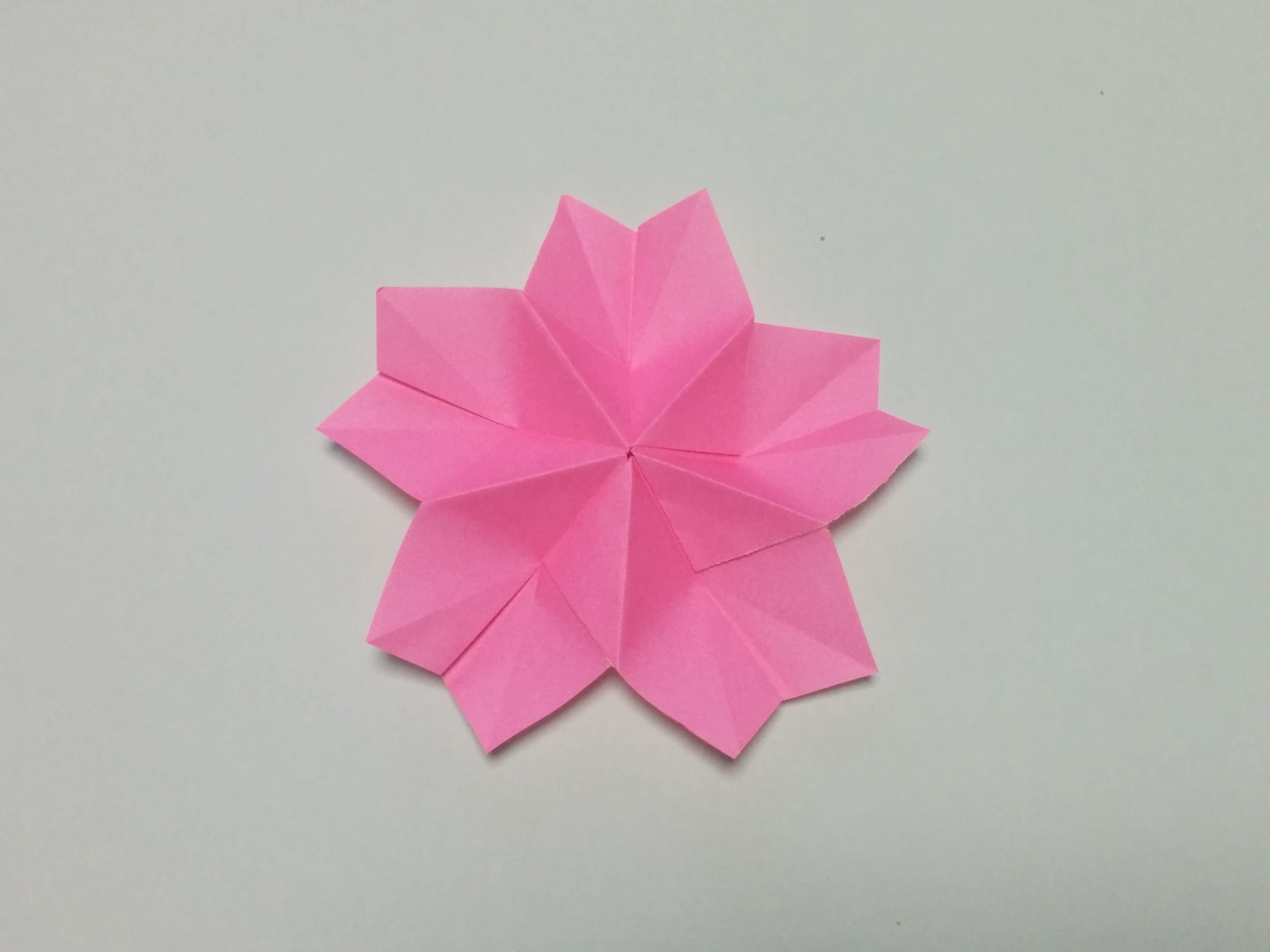 折り紙で桜の折り方 簡単に立体的な花びらを作ろう くまのお